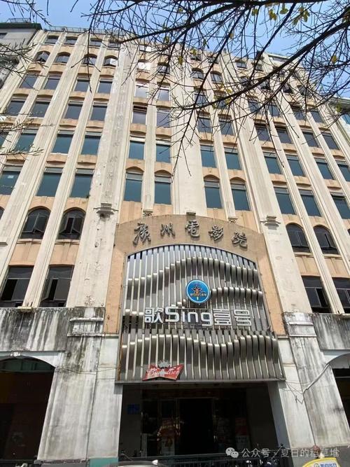 女性下面的毛变黄是什么原因的相关介绍