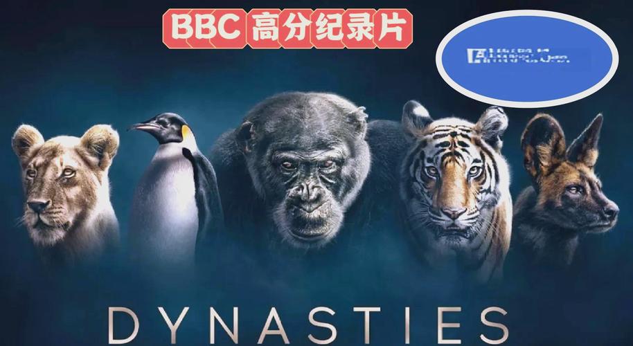 王朝影院视频观看｜高清在线追剧平台推荐｜免费无广告观影体验
