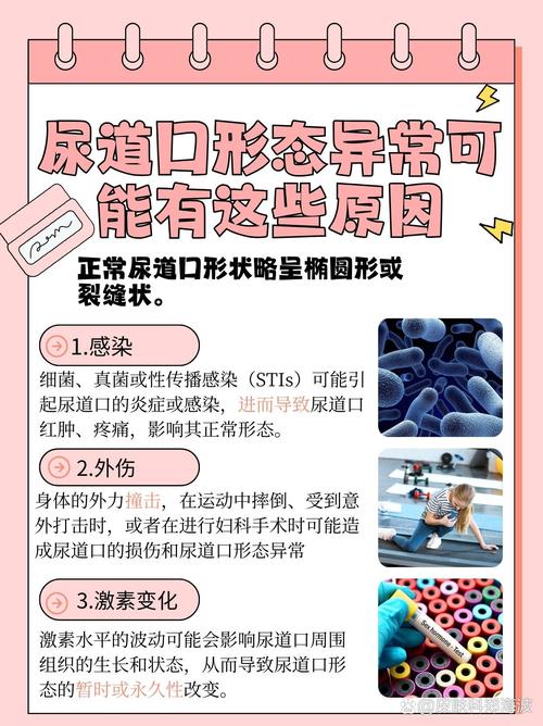 古代武侠毛片的相关介绍
