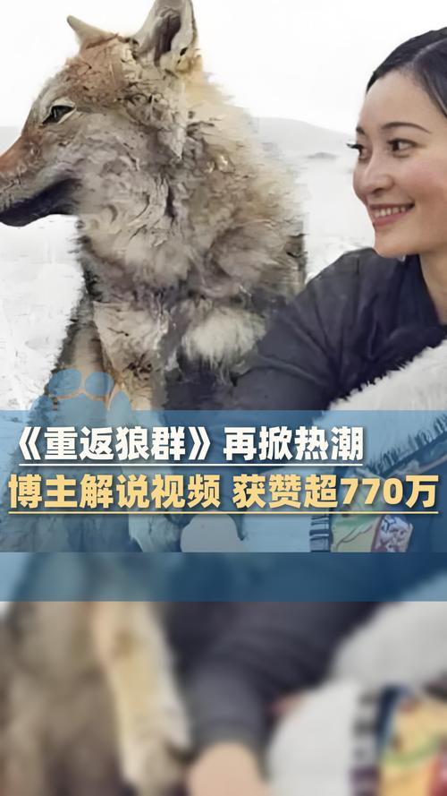 三级黄色黑丝av的相关介绍