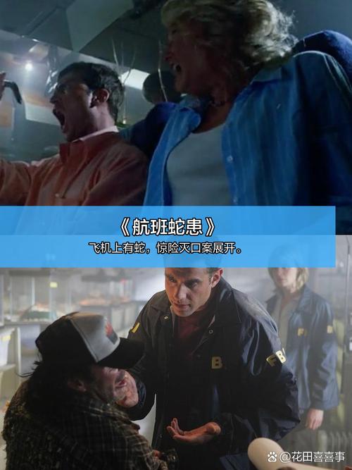 人人妻人人澡人人爽少妇的相关介绍