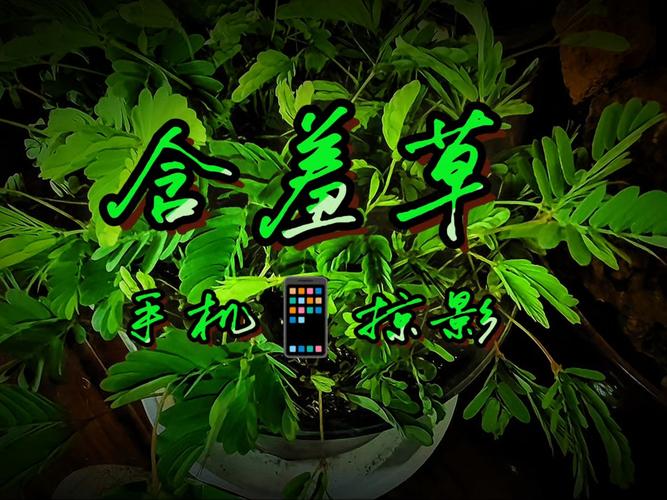 飘雪花影院在线观看 - 最新高清影视免费追剧平台，热门大片无需会员