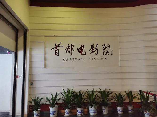东京精油按摩4 | 体验正宗日式精油SPA、深层放松与专业指压技法