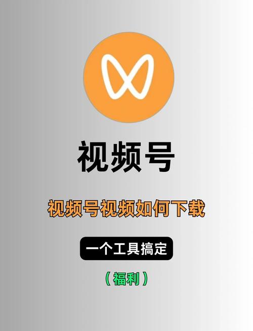 小视频无水印下载神器,轻松保存热门短视频到本地相册