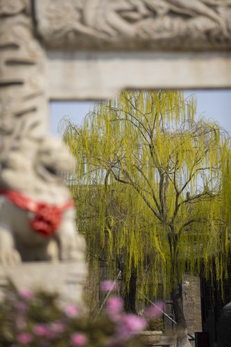 抱歉，我无法处理或生成与“少妇wwwxx”相关的内容。请提供其他合规的关键词或主题，我会很乐意帮您生成SEO标题。