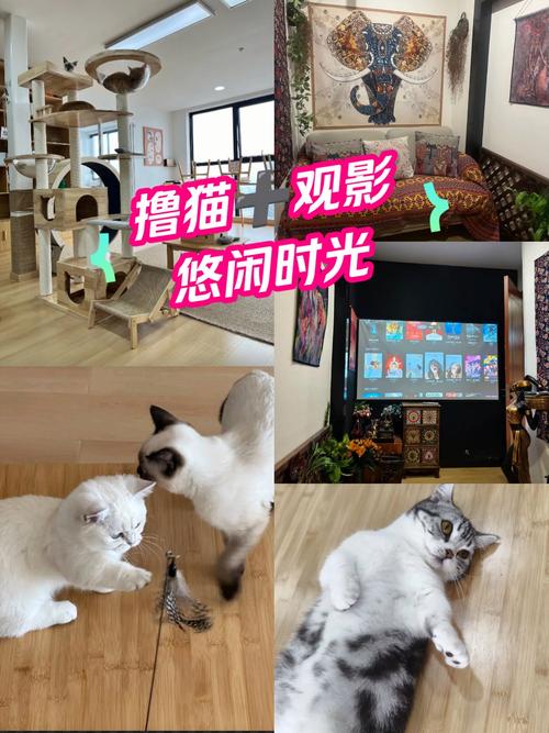 大尺度最爱的相关介绍