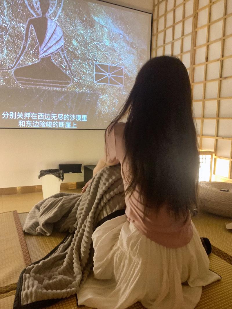 老司机影院免费下的相关介绍