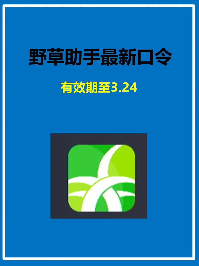 日本按摩院精油按摩视频 | 日式精油推背手法教程 | 全身放松减压按摩指南