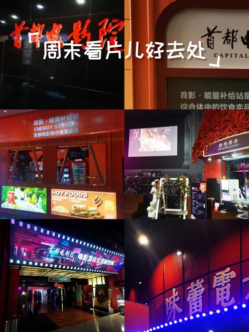 老司机影院免费福利视频 | 高清无广告在线观看 | 最新热门影视资源大全