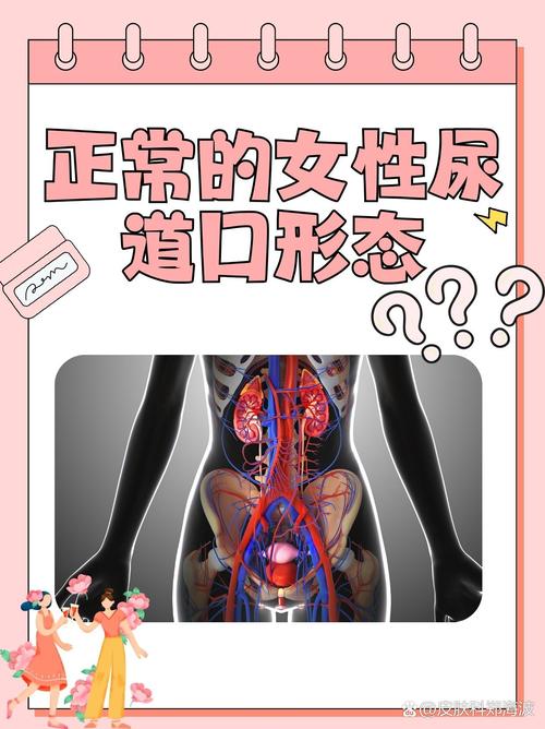 步步高影院的相关介绍